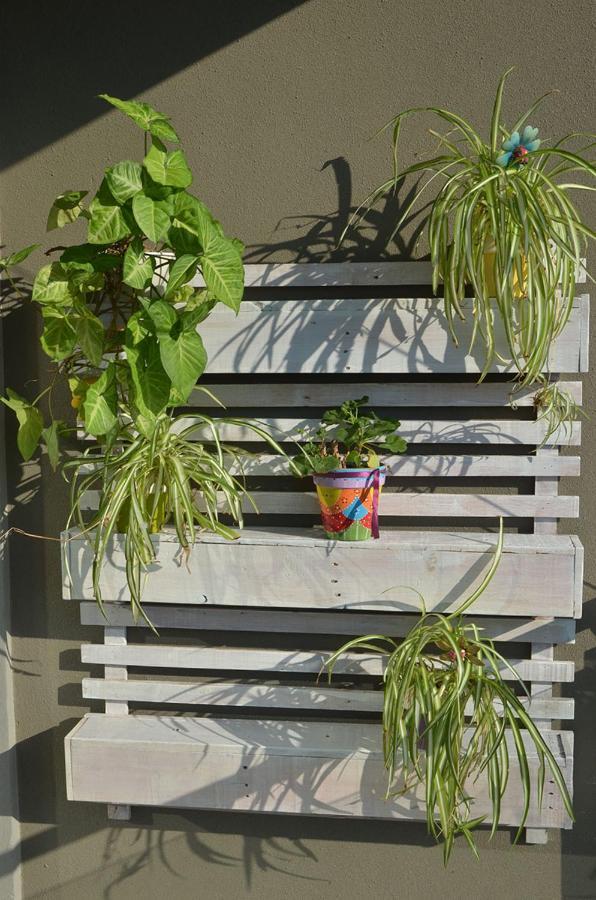 Monoambiente La Pitota Apartment Parana Exterior photo
